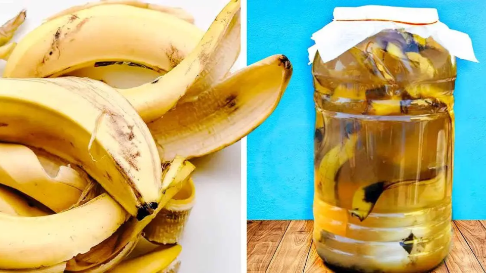 No tires esta parte del plátano, “vale oro” úsala de estas formas tan útiles