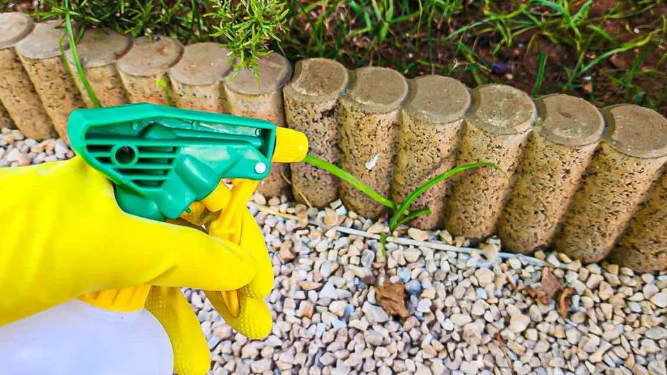 ¿Cómo hacer un herbicida potente y natural para tu jardín?