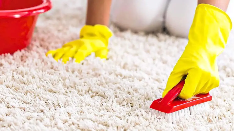 ¿Cómo limpiar eficazmente una alfombra? Consejos y trucos de limpieza