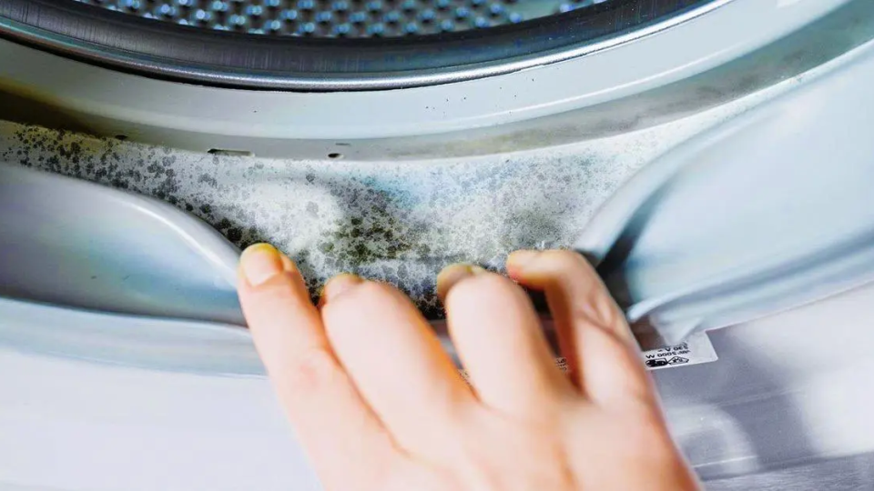 ¿Cómo limpiar la suciedad y el moho de la junta de la lavadora?