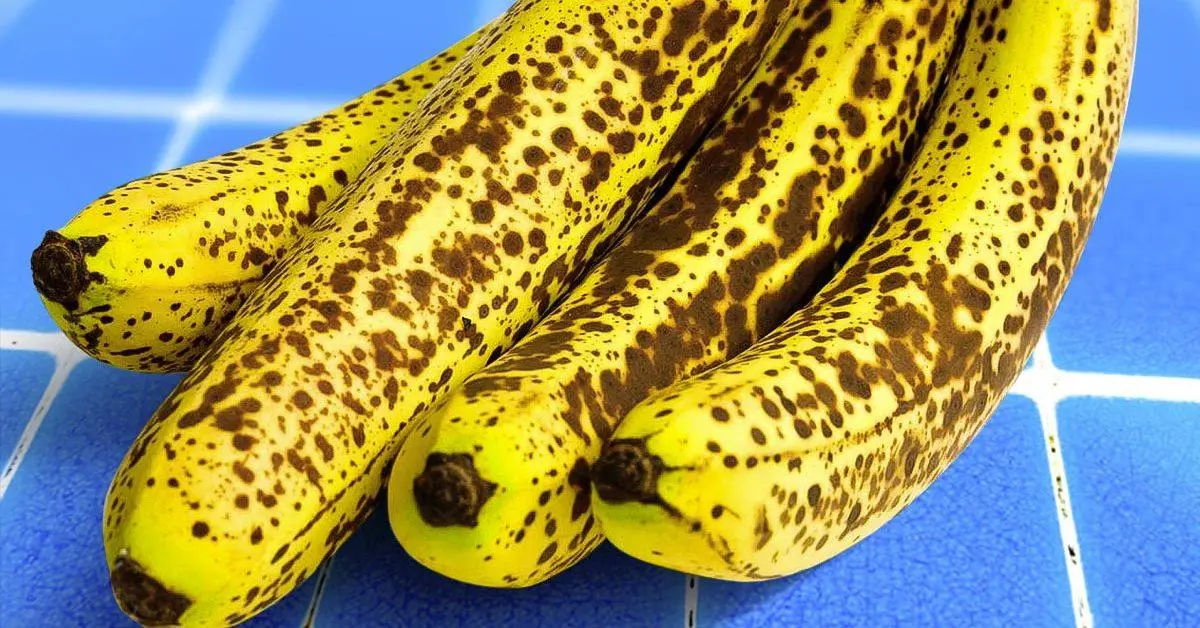 9 consejos anti-desperdicio para reutilizar plátanos demasiado maduros