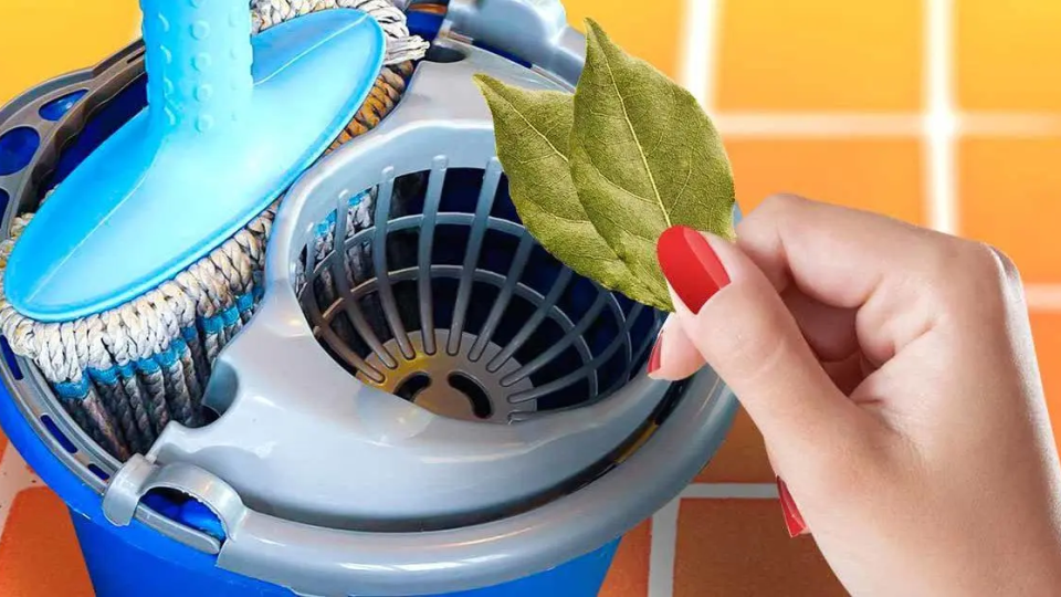 ¿Cuáles son los beneficios de las hojas de laurel para lavar el piso?