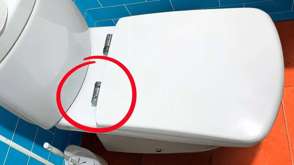 El botón debajo del asiento del inodoro es la única forma de hacer una limpieza perfecta del inodoro. ¿Cómo activarlo?