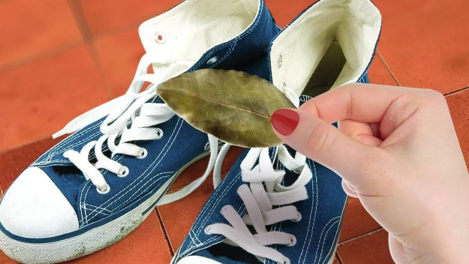 ¿Por qué poner hojas de laurel en los zapatos?