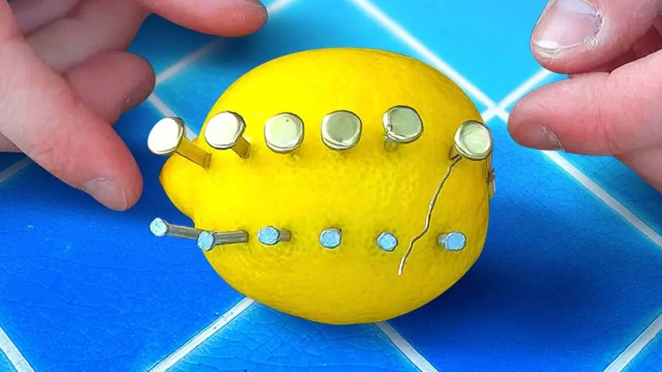Clave clavos en un limón: el truco favorito de mi jardinero para salvar plantas