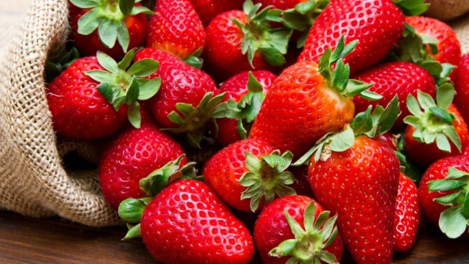 5 consejos para tener hermosas fresas en tu jardín