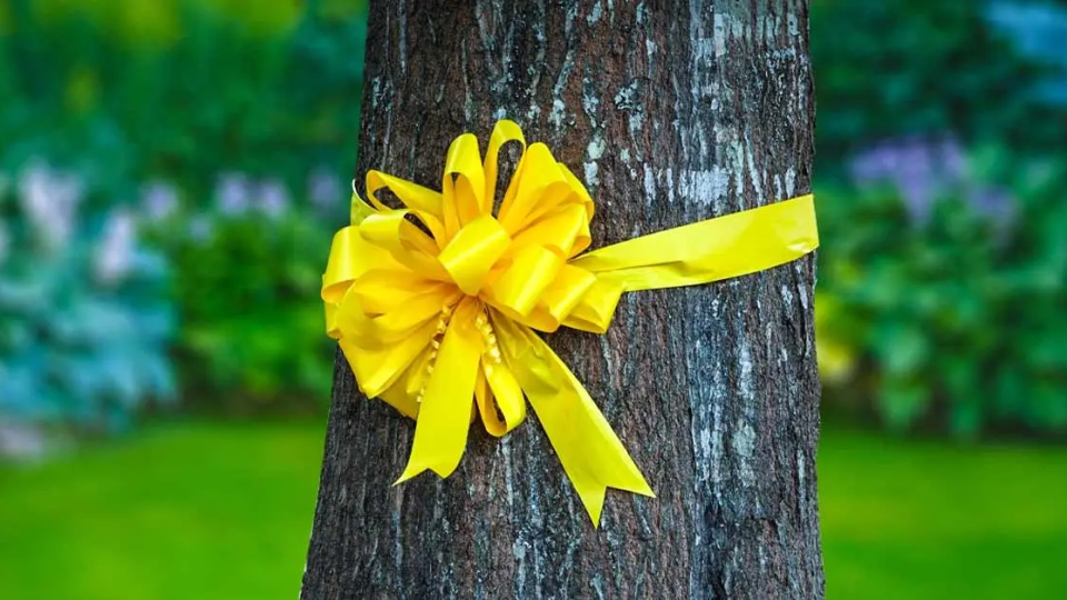 ¿Por qué tenemos que poner una cinta amarilla en los árboles?