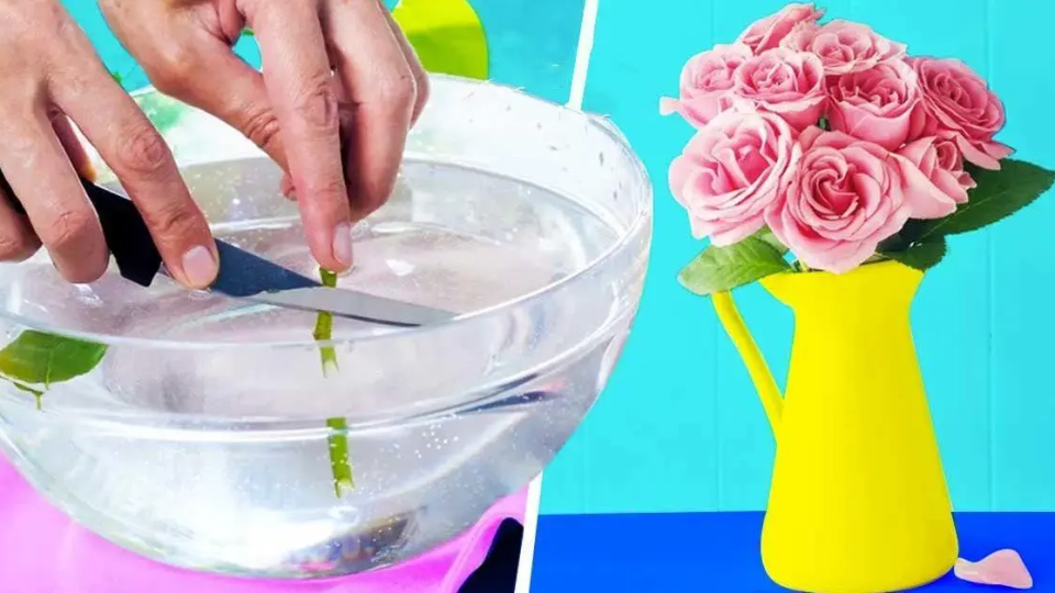 8 consejos para conservar las flores en un jarrón durante mucho tiempo