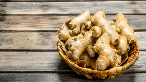 Cultiva jengibre en casa: guía práctica para obtener raíces frescas todo el año