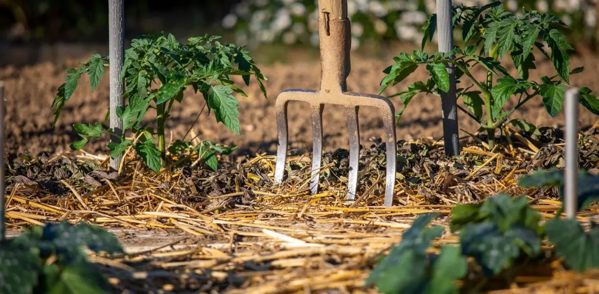 Airear la tierra en el jardín: las herramientas imprescindibles para trabajar la tierra
