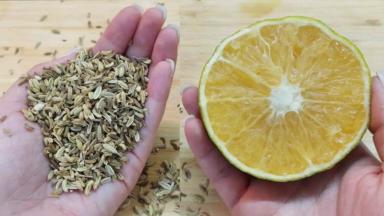 Mezcla una rodaja de limón con una pizca de romero: lo que pasa te sorprende