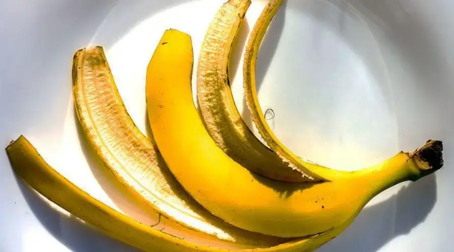 No tires las cáscaras de plátano: 34 formas de utilizarlas
