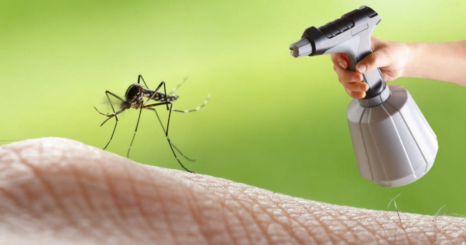 Potente repelente de mosquitos natural