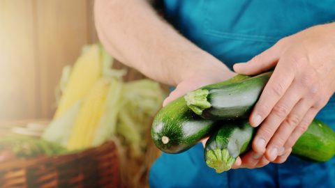 Cómo alimentar tus calabacines para una cosecha abundante