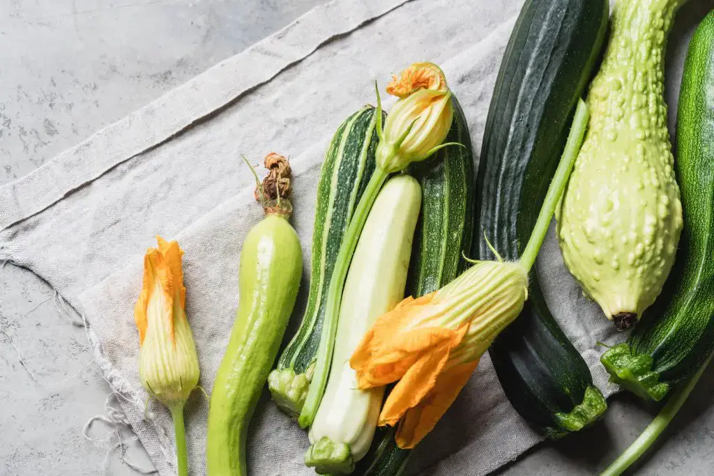 Variedad de calabacines frescos con flores, mostrando la diversidad de productos de jardín y la cosecha estacional.