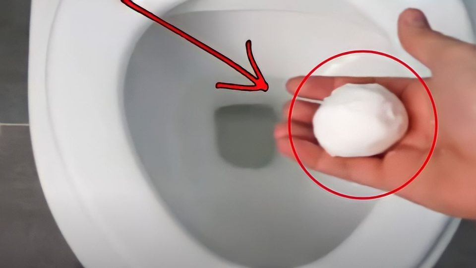 Tírelo por el inodoro, desaparecerá el olor y eliminará las manchas permanentes en minutos.