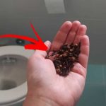 Clavos en el baño: es sorprendente lo que pasa si los dejas toda la noche