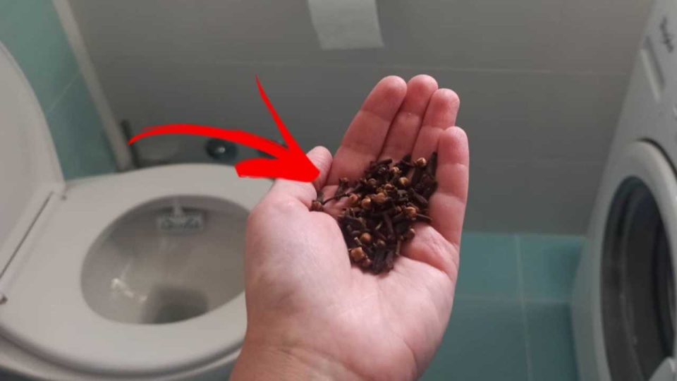 Clavos en el baño: es sorprendente lo que pasa si los dejas toda la noche