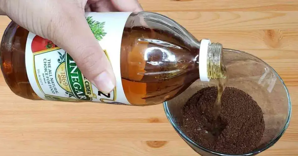 Los sorprendentes beneficios de mezclar vinagre de sidra de manzana y café molido