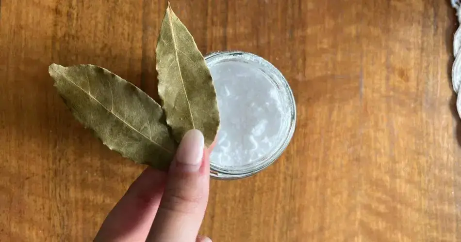 El truco del bicarbonato sobre hoja de laurel: la vieja técnica de las abuelas que no merecía ser olvidada