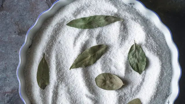 Cómo usar laurel y sal para eliminar olores y humedad en casa