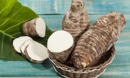 Taro (Colocasia esculenta): Desbloqueando el poder de su raíz y más allá