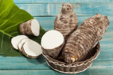 Taro (Colocasia esculenta): Desbloqueando el poder de su raíz y más allá