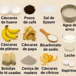 Fertilizantes Naturales Que Ya Tienes en Casa