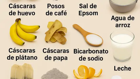 Fertilizantes Naturales Que Ya Tienes en Casa