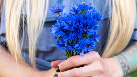 14 flores azules que harán que tu jardín se vea mágico