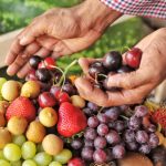 Cómo cultivar frutas frescas en casa: guía fácil