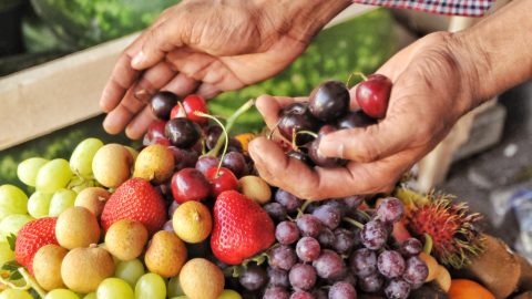Cómo cultivar frutas frescas en casa: guía fácil