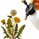 Herbicida no tóxico seguro para personas y mascotas