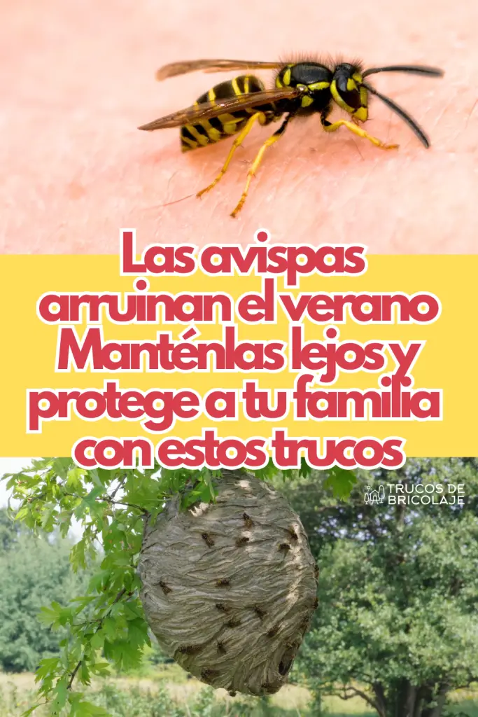 Una avispa posada sobre la piel en la parte superior y un gran nido de avispas colgando de un árbol en la parte inferior.