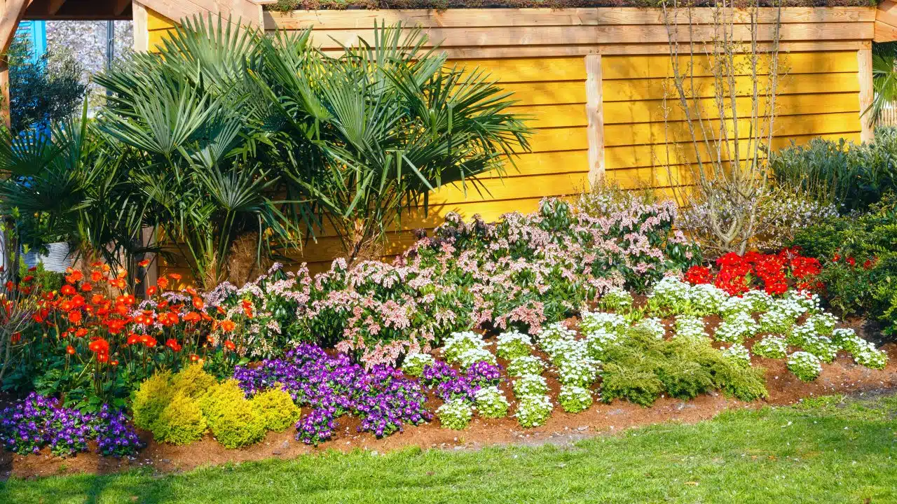 Plantas que se siembran solas y vuelven cada año